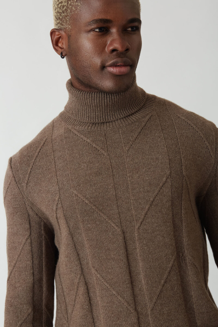 Erkek Balıkçı Yaka Jakar Triko Vizon - 3