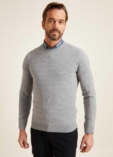 Regular Fit Bisiklet Yaka Gri Erkek Yün Triko - 1