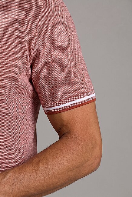 Ki̇remi̇t  Polo Yaka T-shirt (4)